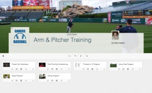 arm & Pitcher Training